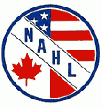 north american hockey league 1975-1992 primary logo iron on transfers for T-shirts